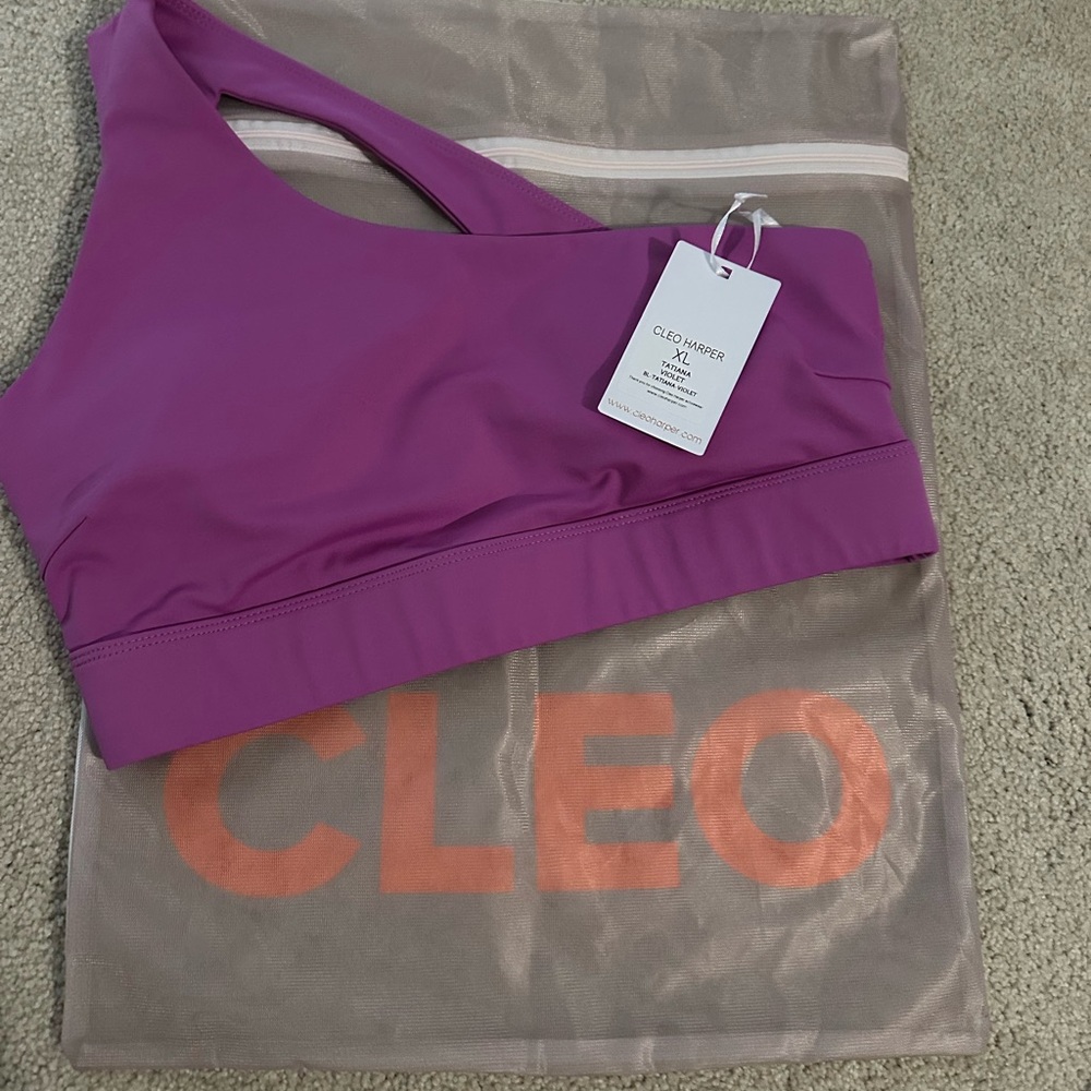 Cleo Purple Sports Bra